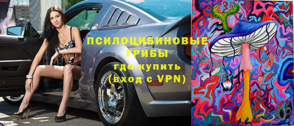 тгк Абаза